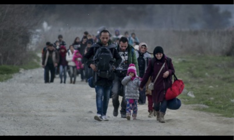 "المكتب المركزي للإحصاء" يعمل على إحصاء أعداد المهاجرين السوريين بالخارج